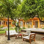 Hotel Orange Garden