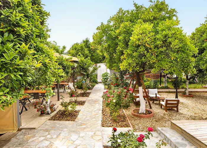 Orange Garden Hotel *