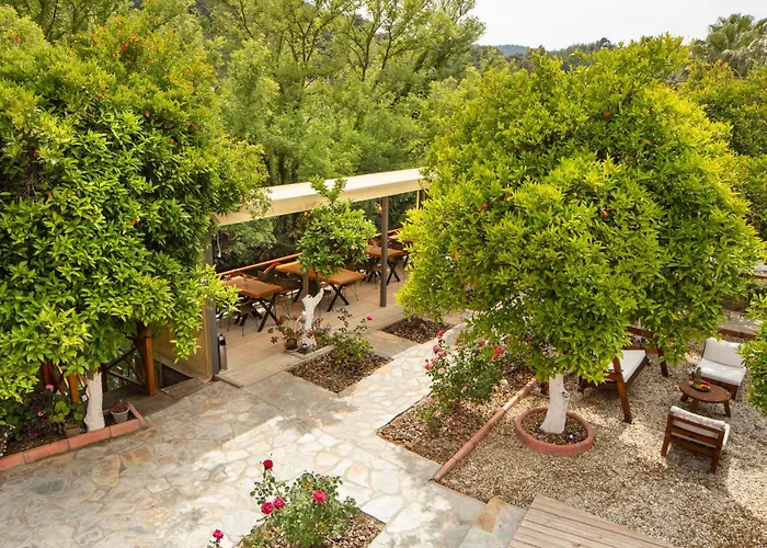 Orange Garden * Akyaka (Mugla)