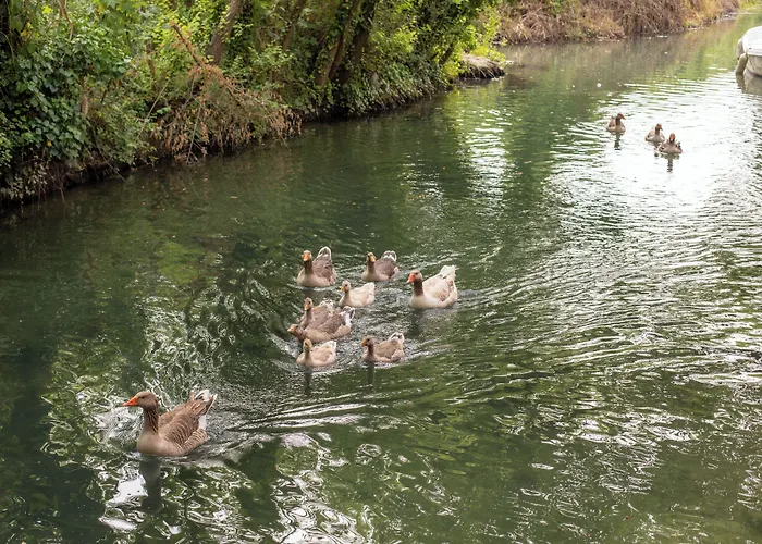 Orange Garden Hotel Akyaka (Mugla)